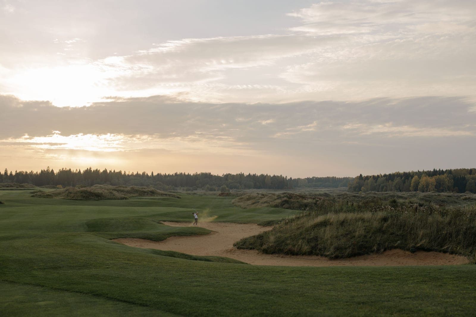 A golfer hitting from a bunker at sunset on a links-style golf course